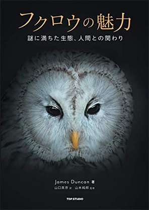 フクロウの魅力 謎に満ちた生態、人間との関わり